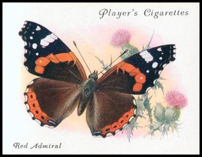 20 Red Admiral